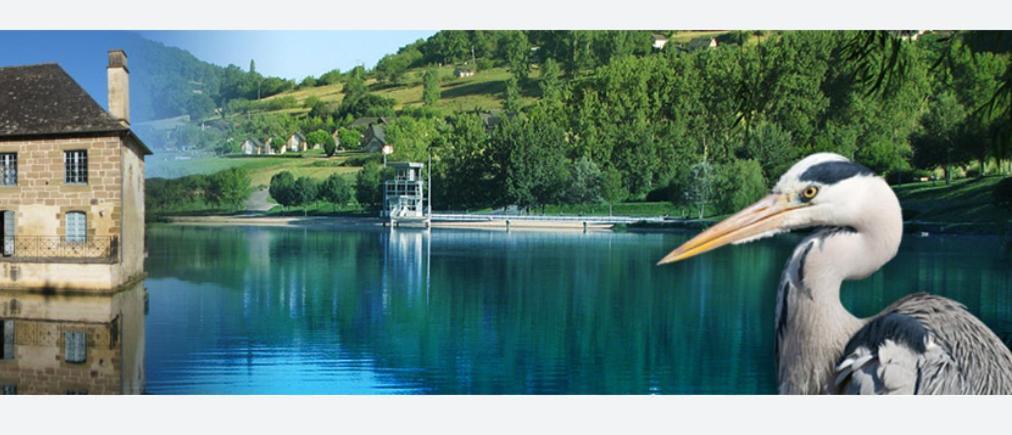 En Toute Quietude Lissac-sur-Couze المظهر الخارجي الصورة